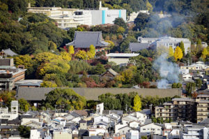 三十三間堂の長い屋根の右奥に、御陵と法住寺が在る。