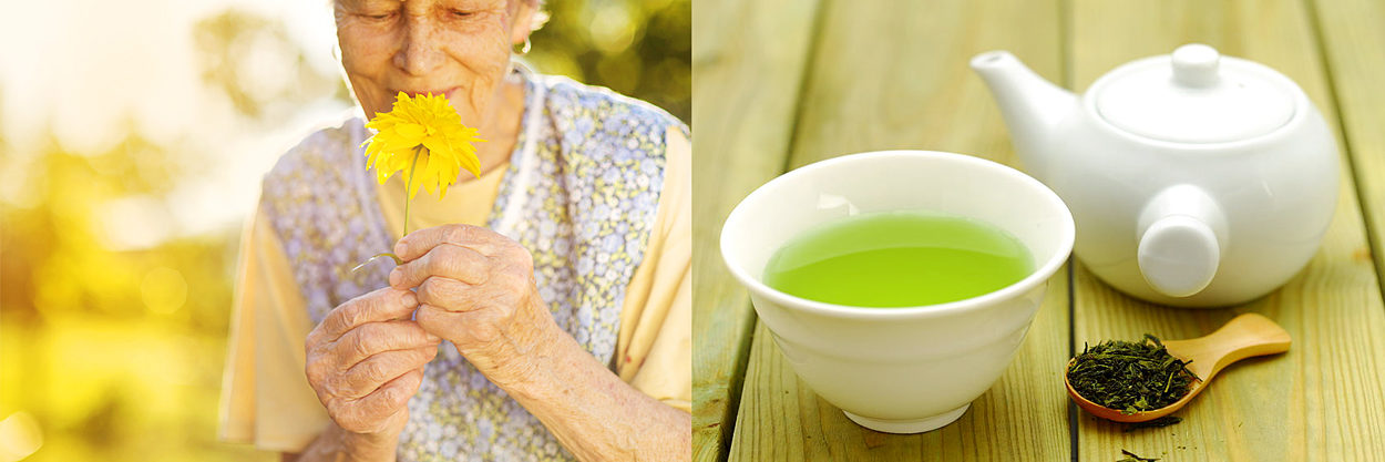 五感を使って、毎日心地良いものに触れる。緑茶の健康成分は、科学的にも証明されている。